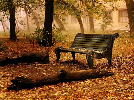 Fall Bench Picture
